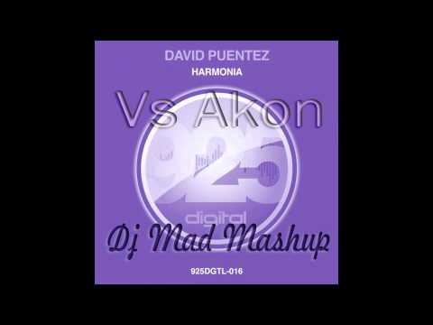 david puentez harmonia mashup remix contest.mp4
