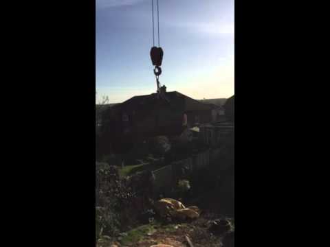 Removal of a large dead Willow tree with a crane.