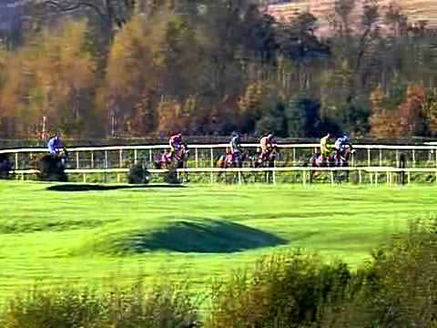 JNwine.com Champion Chase 2011