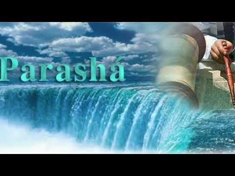 Bereshit 1-1 Daily manna from the Torah by Dr Ketriel Blad