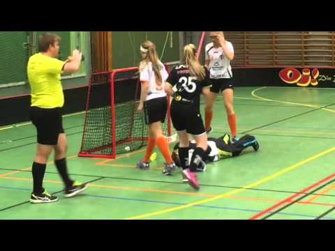 Highlights Å/K IBS JAS Dam - FBC Engelholm 11-5