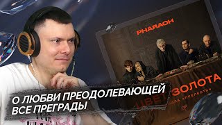 Медиа рецензия