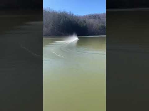 Second run, same settings  M545 prop cut down to 42 6mm  4 50 inches of trailing edge cup