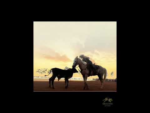 Villa Paraíso - Chácaras - Alexânia - GO