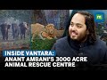 Inside Vantara Anant Mukesh Ambani S 3000 Acre Animal Rescue Rehabilitation Centre Interview