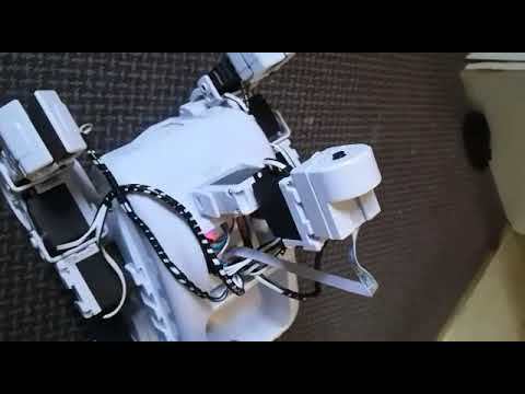 Deji's EZ-B Roli Robot