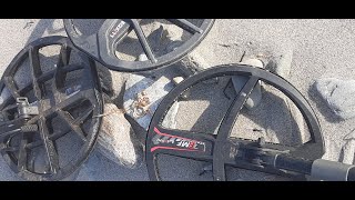Metal Detecting Micro Gold who wins? Minelab Manticore vs xp2 vs Equinox 900!