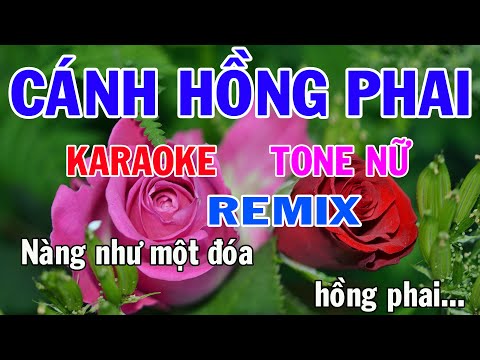 Cánh Hồng Phai Karaoke Remix Tone Nữ Nhạc Sống gia huy beat