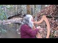 Demo of Ancient Celtic:  Wire Strung Harp