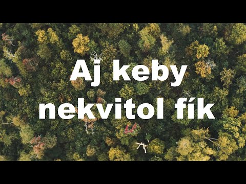 Aj keby nekvitol fík