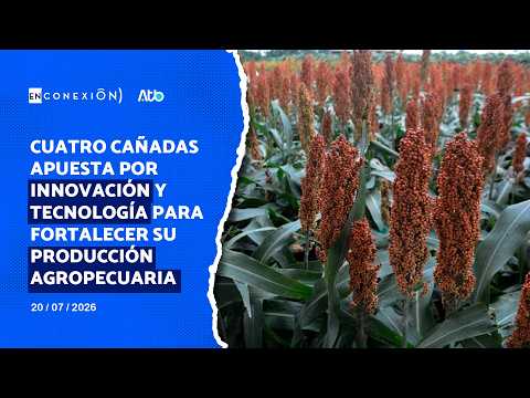 Cuatro Cañadas apuesta por innovación y tecnología para fortalecer su producción agropecuaria