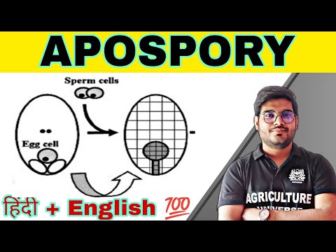defination allopolyploid allopolyploid kya hai allopolyploid in hindi what is allopolyploid