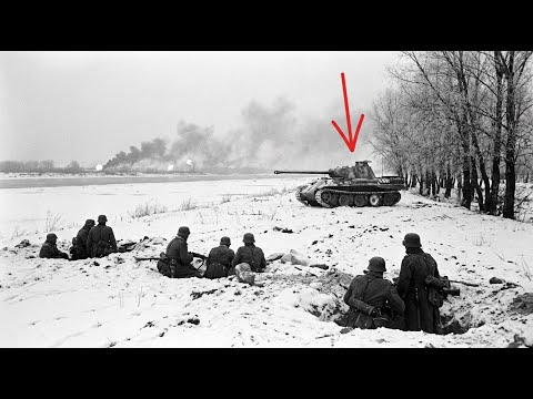 The Vistula-Oder Offensive | How 450,000 Germans Faced 2.2 Million Soviets