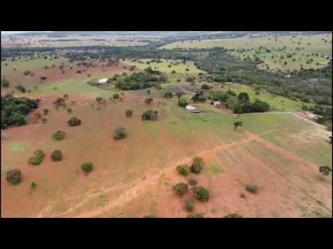 FAZENDA A VENDA NO MUNICÍPIO DE PALESTINA NO ESTADO DE GOIÁS