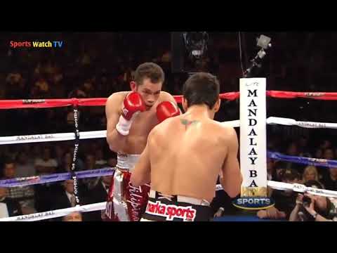 Nonito Donaire vs Fernando Montiel (Highlights)