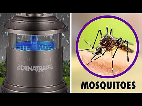 5 Things to Know About the DynaTrap XL Insect Trap