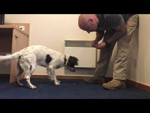 Teaching a freeze indication - scent detection