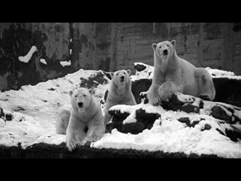 A 'White' Christmas (1927) | BFI National Archive
