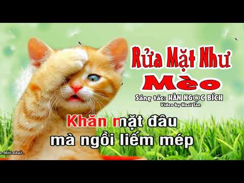 Rửa Mặt Như Mèo   Karaoke  Tuyệt phẩm hay nhất