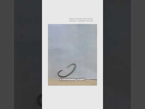 Cartwheeling snake captured on film