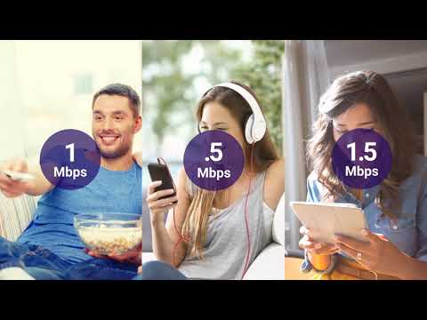 download lagu mp3 mp4 Pineland Internet, download lagu Pineland Internet gratis, unduh video klip Pineland Internet