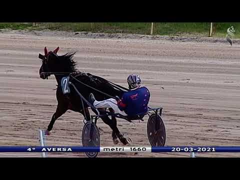 Aversa trotto 20 Marzo 2021 - 4° Corsa