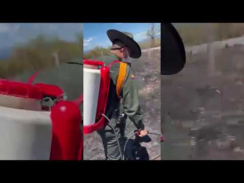 Incendio forestal puso en riesgo resguardo indígena en Coyaima. Tolima7dias