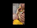 Indian Cute Beautiful Mom Mundan Breastfeeding Vlog MUST WATCH