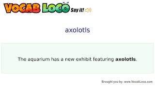 Video thumbnail for axolotls