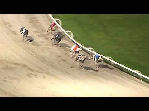 2017 SERVOCA BRITISH BRED DERBY - 3RD SEMI - T2 ALFIES PRINCE