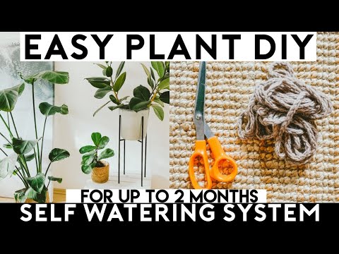 image-How do I water my house plants automatically?