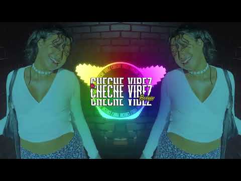 Tie Him x Party Animal x Kante x No Lie - Xenon Beats RmXz 2024