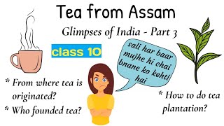 tea from assam class 10 / glimpses of india 3 / te