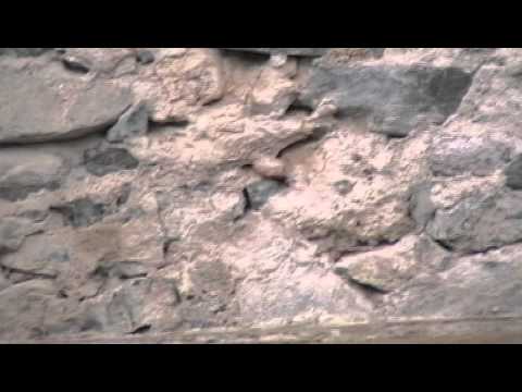 Çezma e Xhamisë - Miratoc