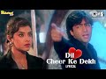 Dil Cheer Ke Dekh Tera Hi Naam Hoga Lyrical Rang Divya Bharti Kumar Sanu 90 S Hits Song