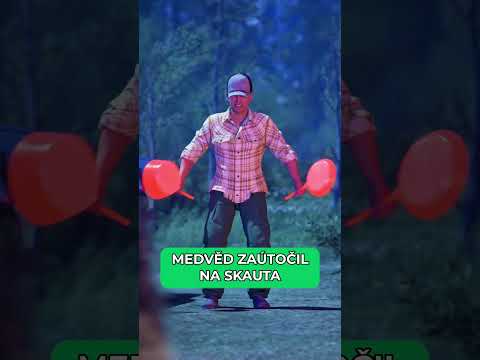 Medvěd zaútočil na skauta #pandaaashorts #shorts