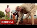 Zimbabwe To Return Land Seized From Foreign Farmers BBC News