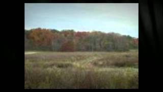 11 Dry Hollow Road, Warriors Mark PA, 16877