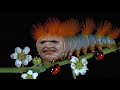 Aphex Twin - The Waxen Pith [Music Video]