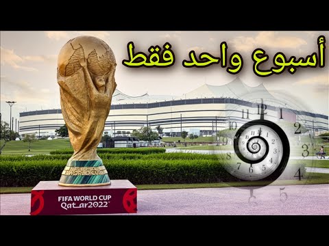 أمير ديزاد يفضح صراع أجنحة النظام الجزائري وتورط مخابرات عبلة في عدة قضايا