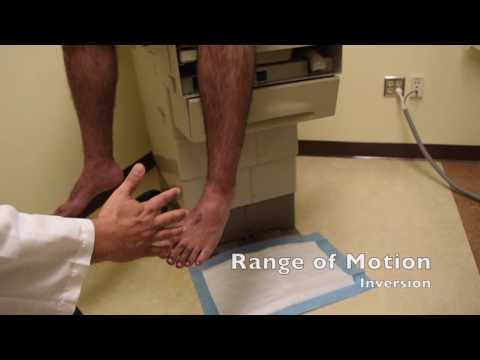Sports Medicine (orthopedic) Ankle Physical Examination