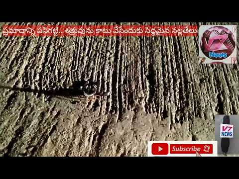 DIDA DURGAIAH https://youtu.be/P0kEe2Vr4bc @ Block Scorpion Attitude