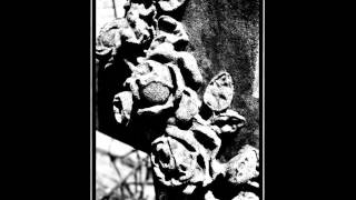 Death In June - Holy Water Live Paris 1984