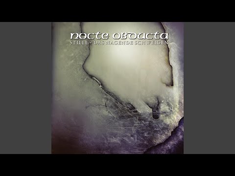 Die Schwäne im Moor