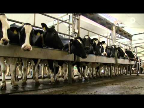 Die Wegwerfkuh – Wie wir den Welthunger besiegen können 29.03.2015 ARD ttt Titel Thesen Temperamente