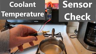Checking a Temperature Sensor | Subaru and "All" | Man About Home