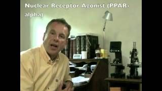 Palmitoylethanolamide for treatment of neuropathic pain - Video abstract: 32143