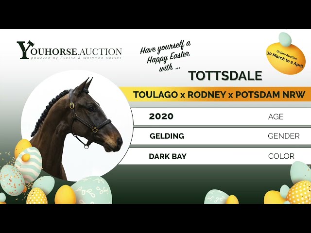 Tottsdale under the saddle