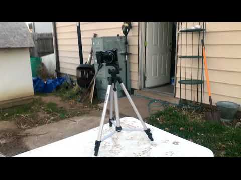 My Dog MAKAI  Makai is CRAZY