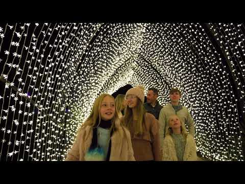 Lightscape 2024: The Garden at Night Shines Big & Bright